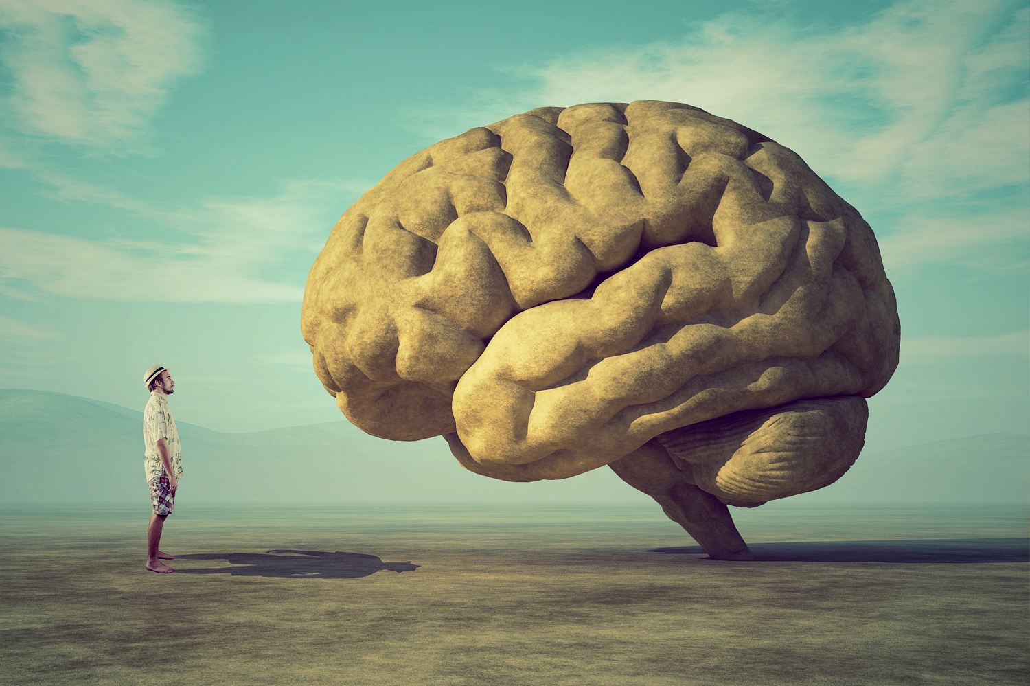 Where Does Consciousness Come From?